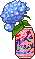 Hydrangea in a Lacroix can